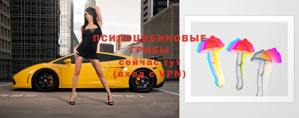 первитин Новозыбков