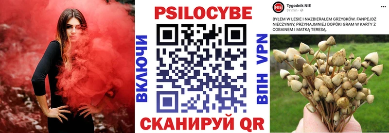как найти закладки Каневская кракен Псилоцибиновые грибы MAGIC MUSHROOMS